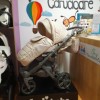 Carucior copii 3 in 1 Encore 2 Adamex Beige X19