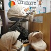 Carucior copii 3 in 1 Encore 2 Adamex Beige X19
