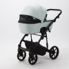 Carucior 3 in 1 Mobi Air Adamex Mint TK27