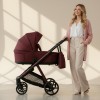 Carucior copii Sigma Natura Ruby Adamex 3 in 1 cu scoica testata ADAC