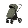 Spark Adamex Velvet-Salvia 4in1 cu scoica Cybex Cloud G plus ADAC si isofix