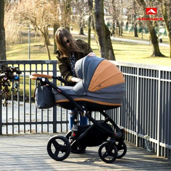 Carucior 3 in 1 Vicco Adamex A22