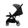 Carucior sport autofolding Zoom Adamex Grey