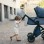 Carucior copii 3 in 1 Anex Cross Sapphire