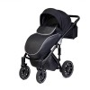 Carucior copii 3 in 1 Anex Sport Ink