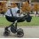 Carucior copii 3 in 1 Anex Sport Graphit Noise