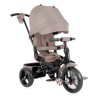 Tricicleta 4 in 1 cu scaun rotativ Jaguar