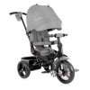 Tricicleta 4 in 1 cu scaun rotativ Jaguar