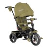 Tricicleta 4 in 1 cu scaun rotativ Jaguar