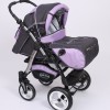 Carucior 3 in 1 Junior Plus Baby Merc Graphit Violet