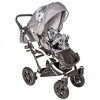 Carucior Hubners Dalia Lux 3 in 1 Grey Flowers