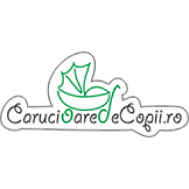 Depozitul de Carucioare