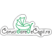 CarucioareDeCopii.ro