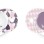 BADABULLE–B011005 Set 2 suzete ortodontice reversibile 6-12 luni 