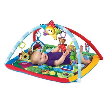 Baby Einstein-90575 Salteluta De Activitati “Omida Si Prietenii”