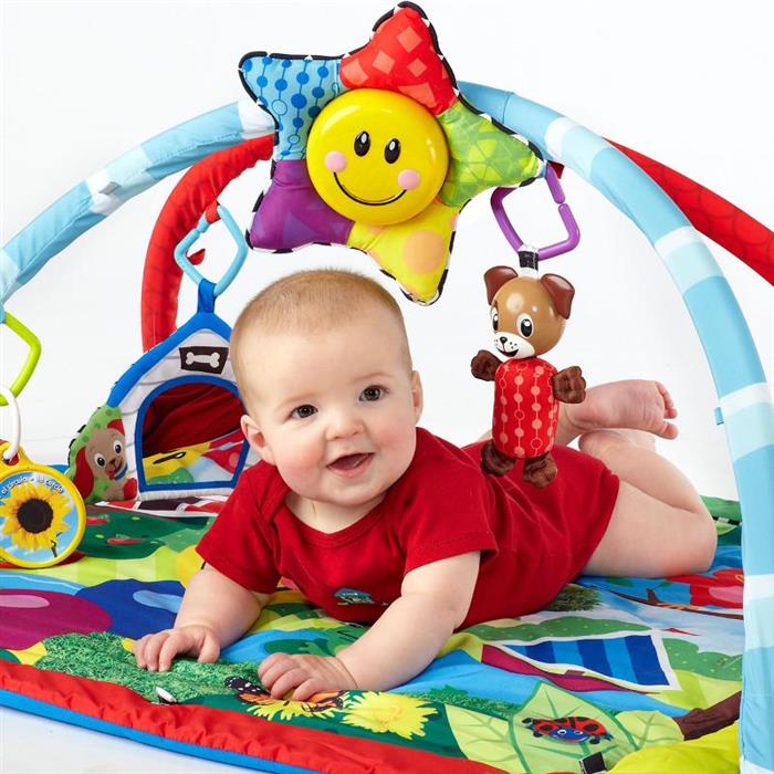 Baby Einstein-90575 Salteluta De Activitati “Omida Si Prietenii”