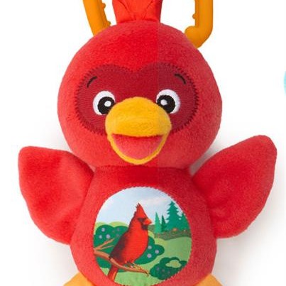 Baby Einstein-90628R Pasare Muzicala Sing & Play Red
