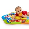 Baby Einstein-90649-Salteluta Joaca Experienta In Recif