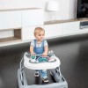 Babymoov-A040006 Premergator Walker 2 in 1 Zinc   