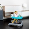 Babymoov-A040007 Premergator Walker 2 in 1 Petrole 