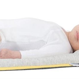 Babymoov – A050409 Perna anatomica 2 in 1 Cosymorpho Fresh