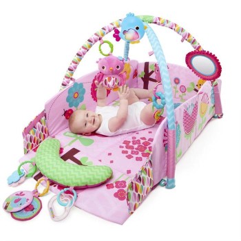 Bright Starts – 52158 Salteluta de joaca 5 in 1 Sweet Songbirds