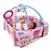 Bright Starts – 52158 Salteluta de joaca 5 in 1 Sweet Songbirds