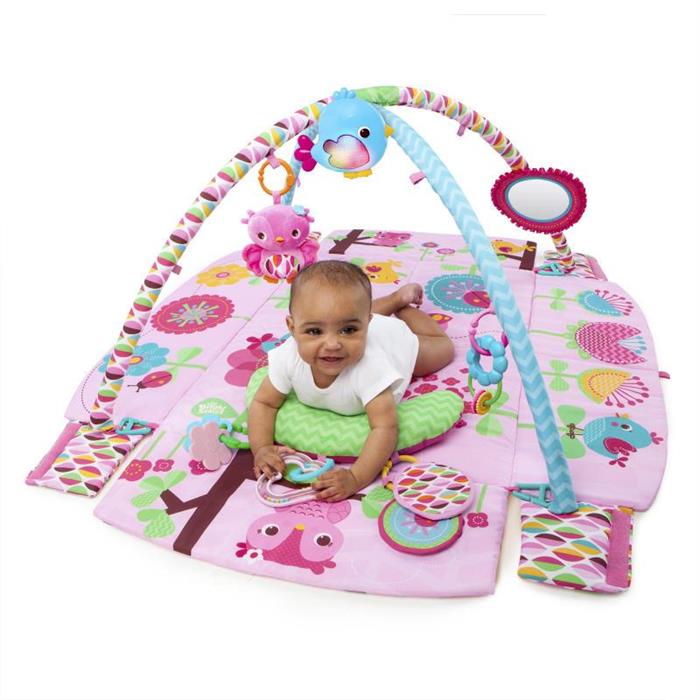Bright Starts – 52158 Salteluta de joaca 5 in 1 Sweet Songbirds