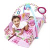 Bright Starts – 52158 Salteluta de joaca 5 in 1 Sweet Songbirds