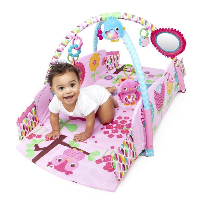 Bright Starts – 52158 Salteluta de joaca 5 in 1 Sweet Songbirds