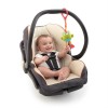 Bright Starts-8808B Jucarie Vibratii Animalute Jucause  Broscuta