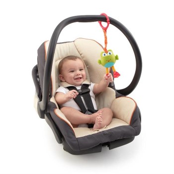 Bright Starts-8808B Jucarie Vibratii Animalute Jucause  Broscuta