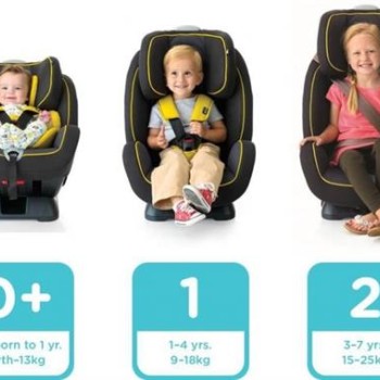 Joie-Scaun auto 0-25 kg Stages Ember