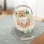 InGenuity – 60338 Balansoar Gentle Automatic Bouncer – Seneca