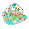 Bright Starts – 10754 – Salteluta de activitati 5 in 1 Your Way Ball